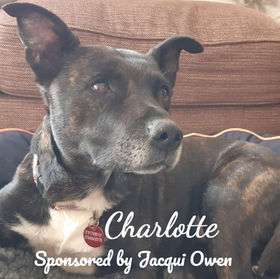 Charlotte5_edited_edited.jpg