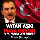 Muhsin Başkanımızı Anlamak