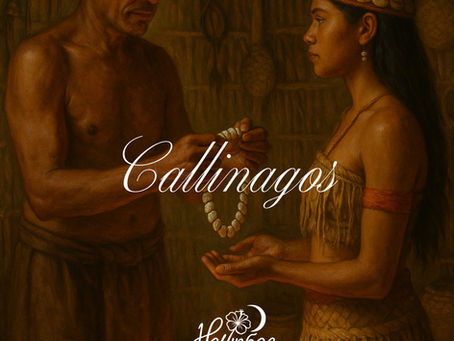 «Карибы» от Од Вольни-Анна сторический Роман