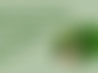 A Recap of BookNet's "Green Paths: Learning from Publishers’ Sustainability Journeys with BookNet"