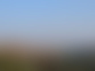 הבלוג החדש שלי - ולהתחלה מההתחלה - איך מצאתי את עצמי מעסה?