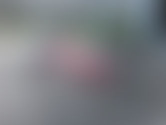 Blog #15 The Color of Love