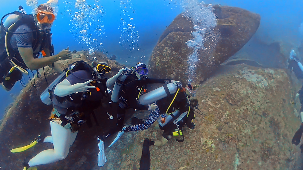 Scuba divers in a line