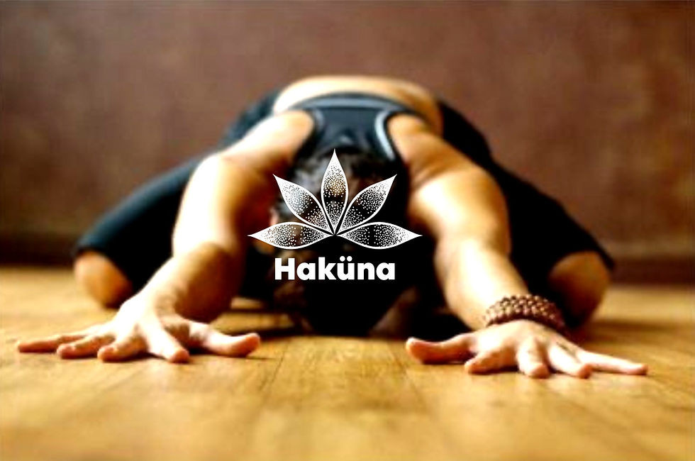 Haküna_edited_edited.jpg