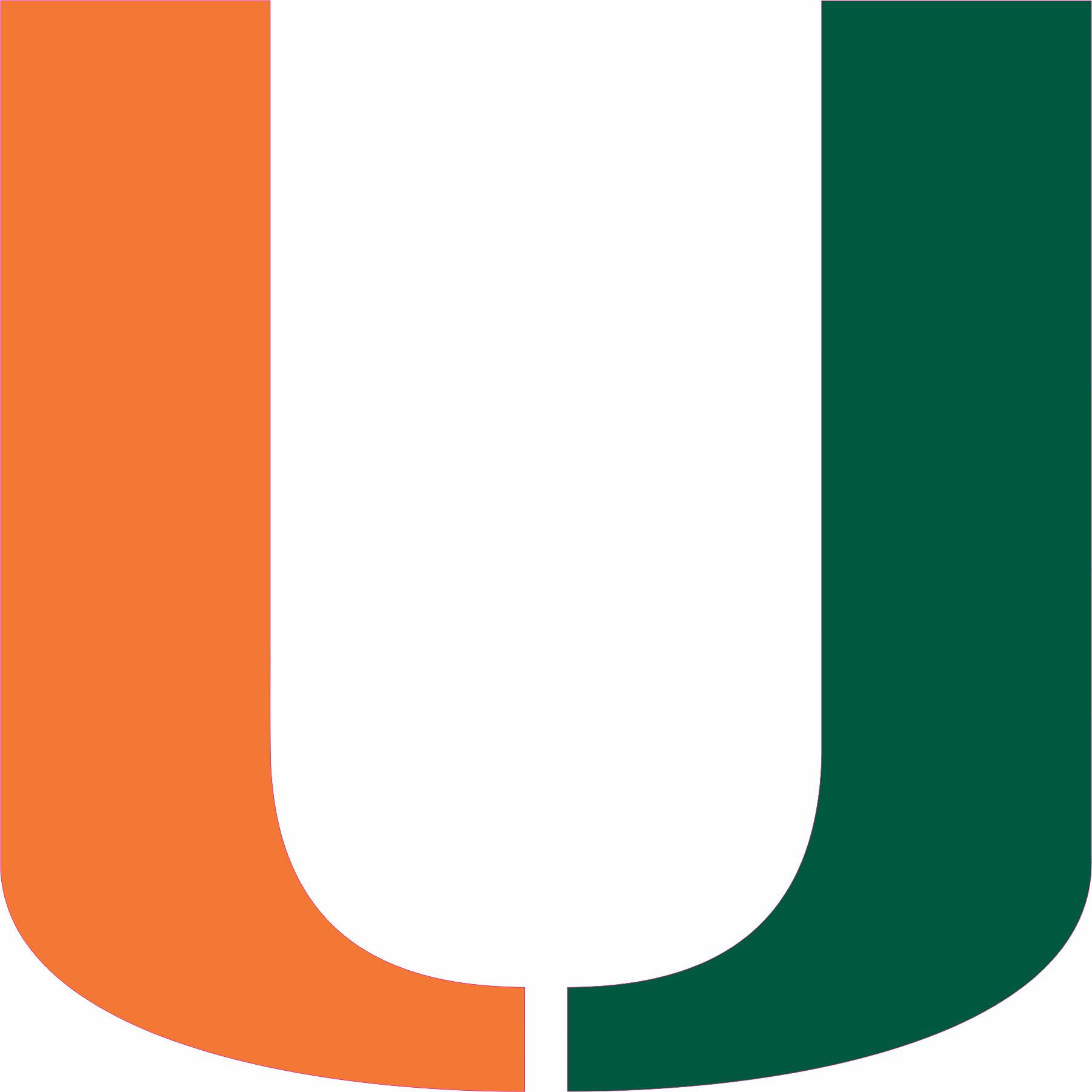 Vintage Hurricanes Full Size Football Helmet Decals