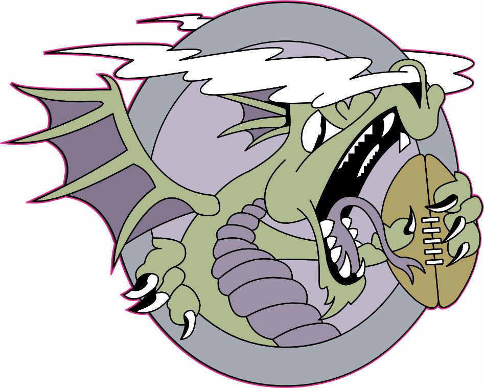 Roanoke Steam Mini Football Helmet Decals