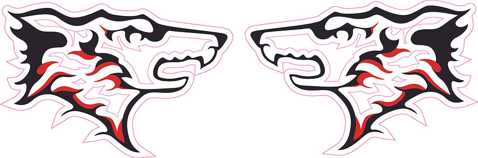 Thumbnail: Program Movie Inspired Full Size Footall Helmet Decals