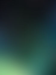 What Is Going On With The Blog