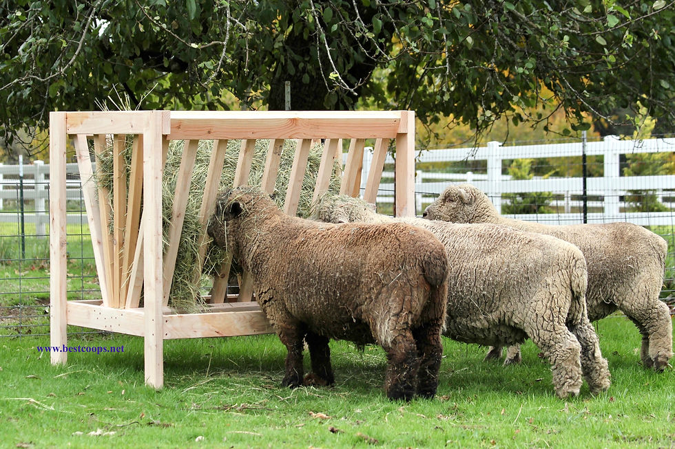 Hay Feeder #1