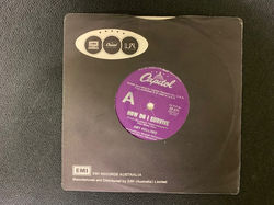 Amy Holland Single. How Do I Survive.