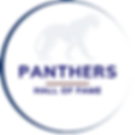 PANTHERS 4 PROGRESS.png