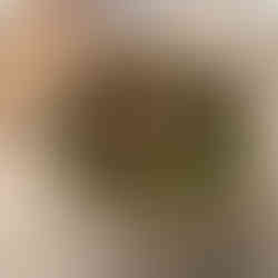 Calde verde sopa green portuguese soup