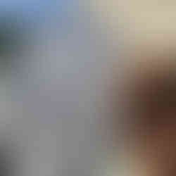 N2 National Road Penacova KM 238