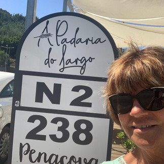 N2 National Road Penacova KM 238