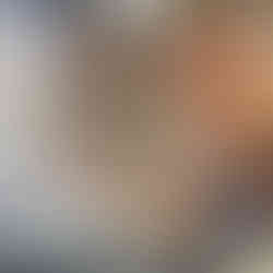 Various cheeses for sale, with price tags, in a refrigerator display case and Portugal Travel.