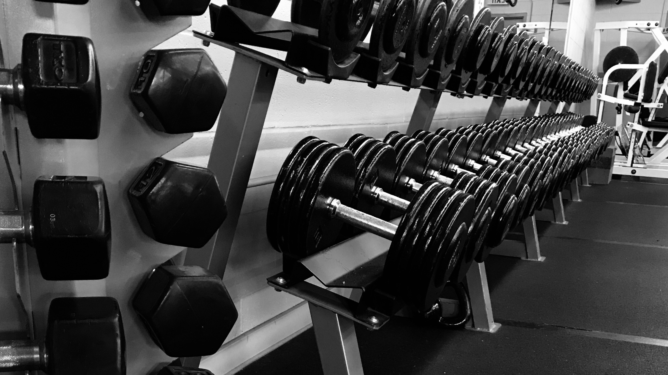 Gym Fitness United States