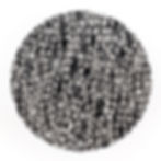Oligodendrocytes