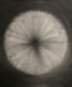Black Hole-4
