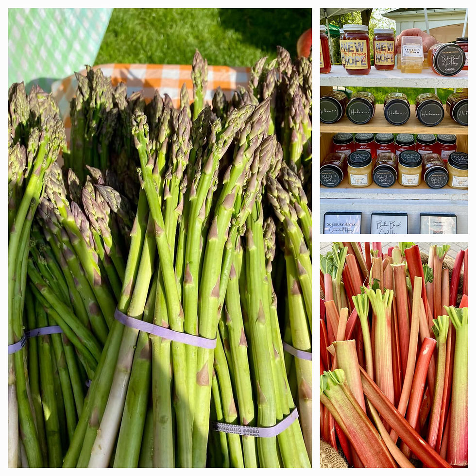 Welcome Back to the Outdoors: Kicking Off Our Summer Farmers Market Season in Buttonwood Park