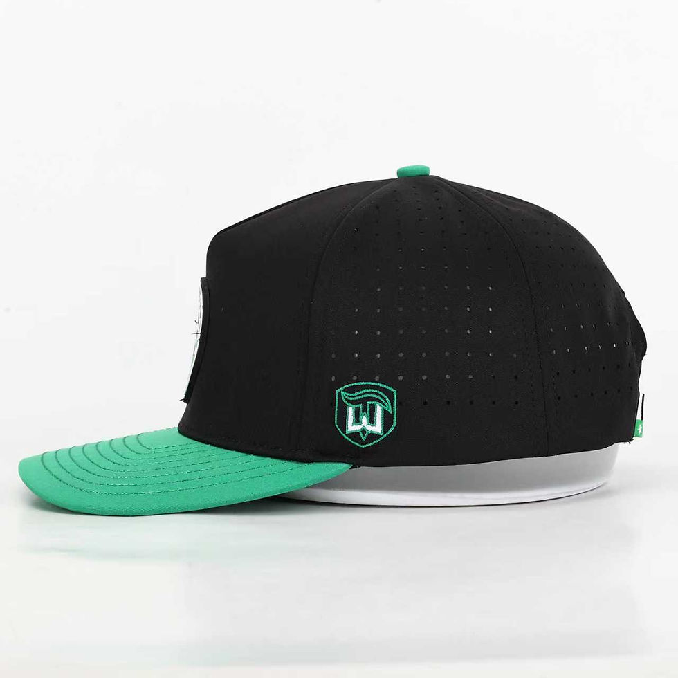 Thumbnail: Dallas Stars Elite Custom Hat