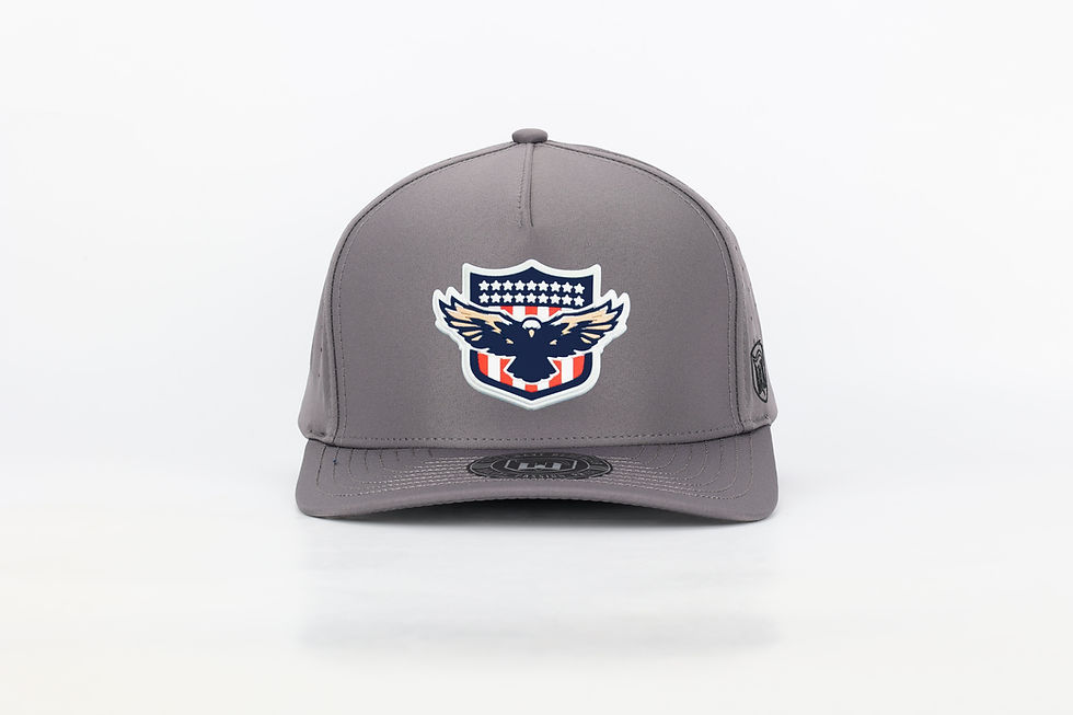 Thumbnail: USA Eagle Hockey Hat