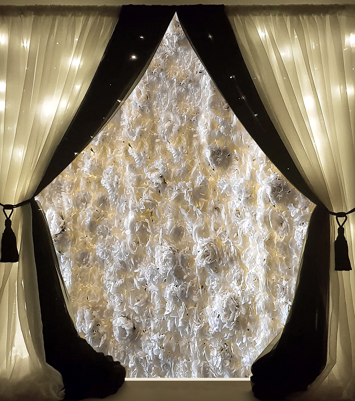 Deluxe Backdrop $300