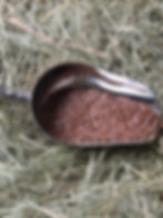 Herbitality Linseed brown – premium whole linseed for horses, rich in omega-3s for coat and digestion. Product photo.