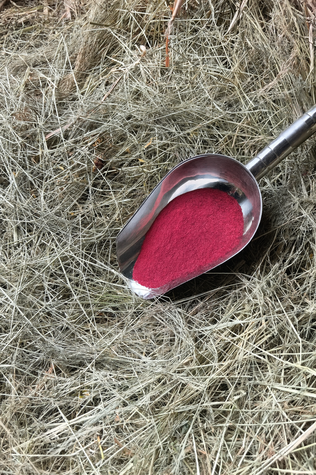 Beetroot Powder