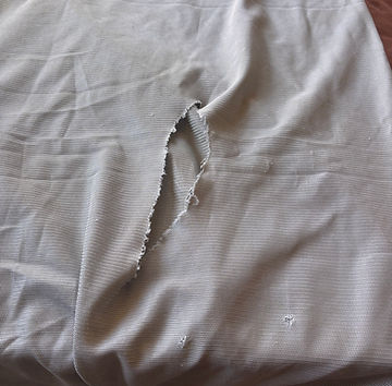 IMG_4715.jpeg