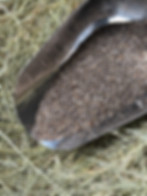 Herbitality Chia Seeds – natural source of omega-3s and fiber for strength, vitality, and digestion. Product photo.