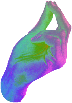 gif14-1.gif