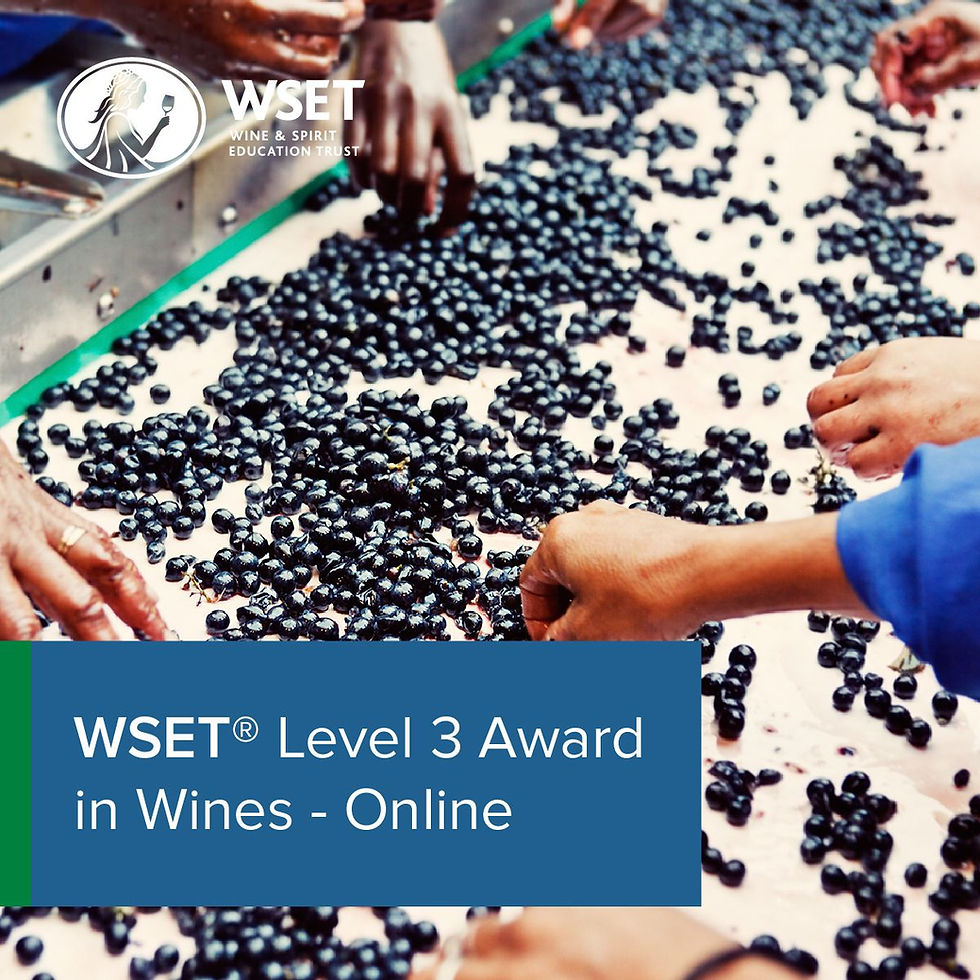 WSET Level 3 Award in Wines Course) VSF Wine School London UK