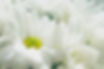 jez-timms-gwIuwbwVhZE-unsplash.jpg