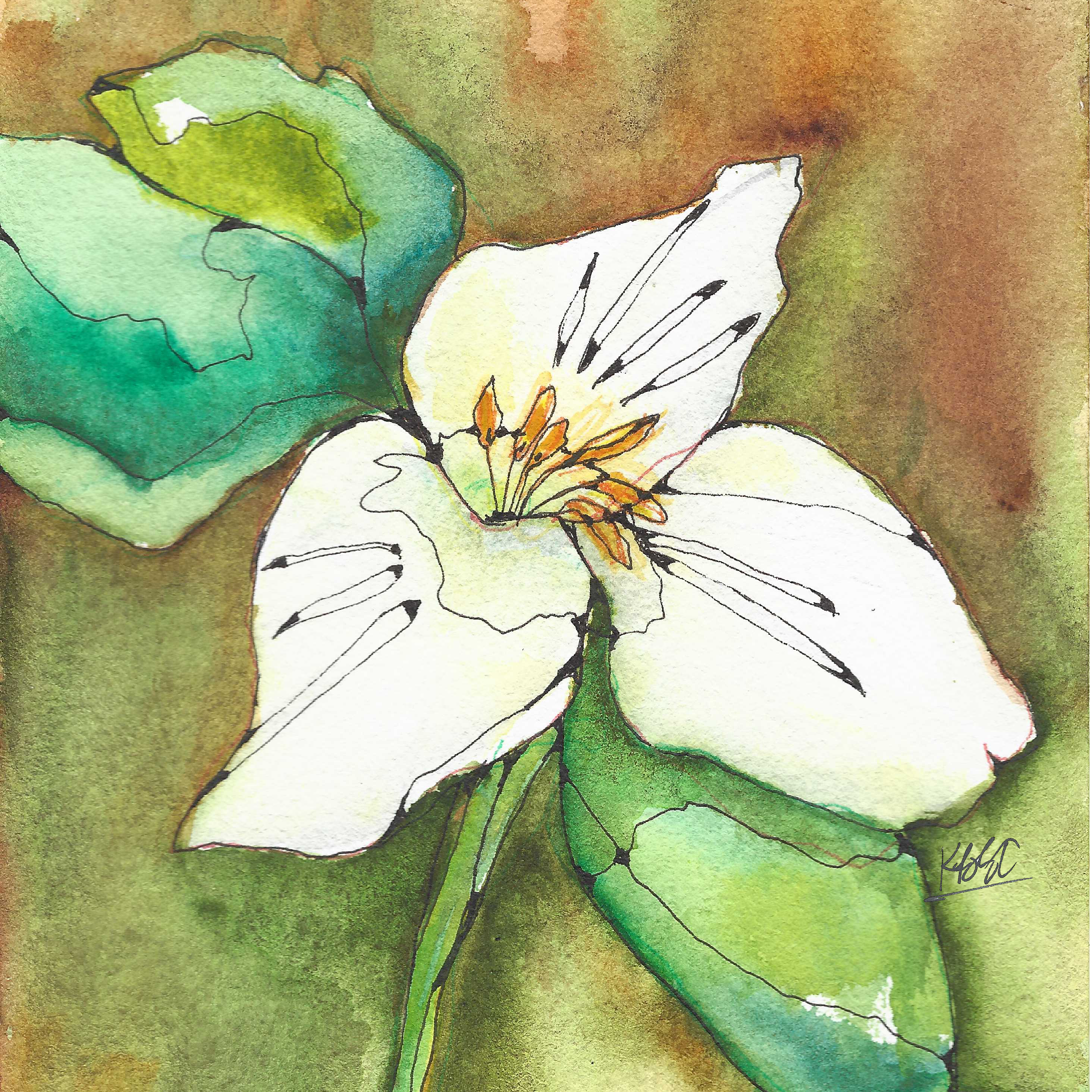 Coasters (Farmer's Market Credit Card)