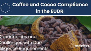 Garantir la traçabilité : Cacao et café en conformité avec la EUDR