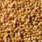 Picture of wheat, yellow peas, sorgum, millets, groundnuts.jpg