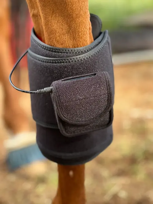 Thumbnail: Tendon Wrap