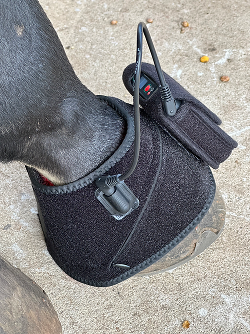 Pastern Wrap Postural Pony