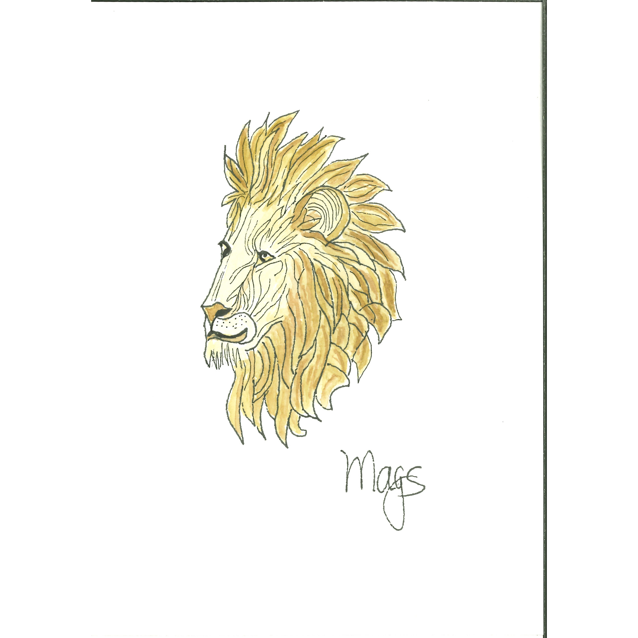 Lion profile