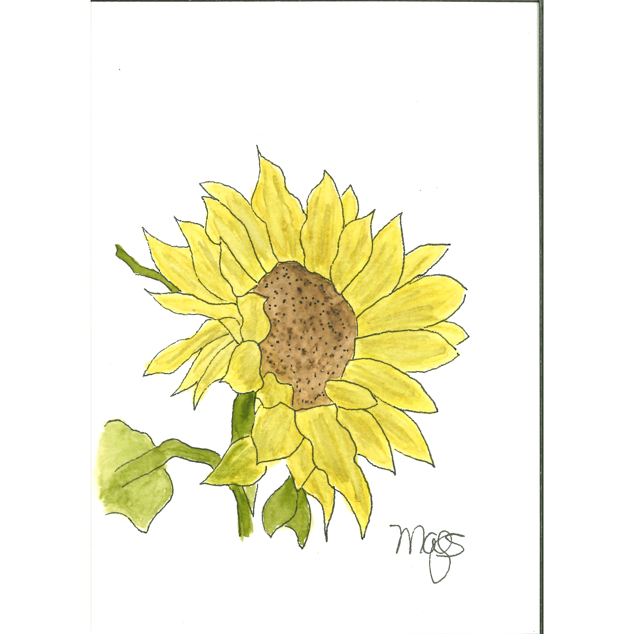 LEO Sunflower  ( July 23 - August 22)