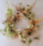 Couronne sauvage de printemps