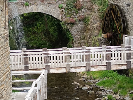 Entre terre et mer sur la côte nord, mai 2023