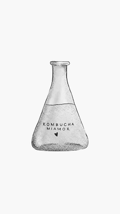 Mezcla Kombucha.png