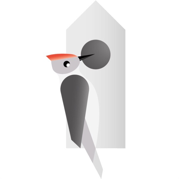 Autorenbild: Schneespecht