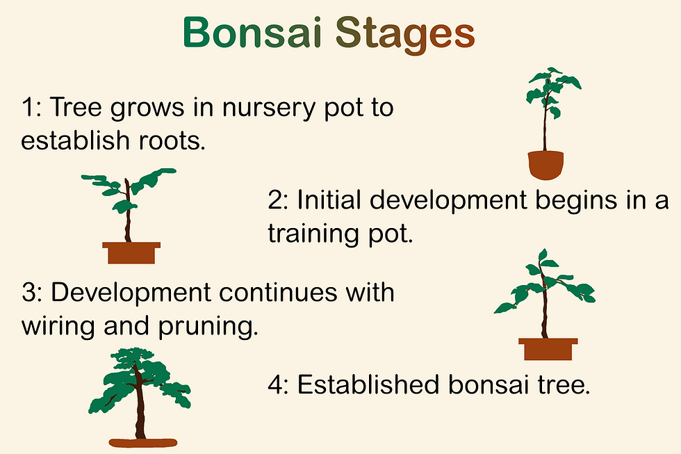Bonsai takes time and patience