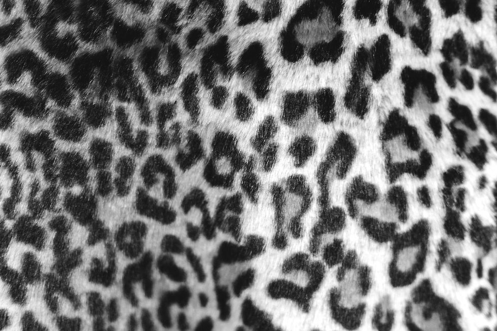 black and brown leopard print garment_edited.jpg