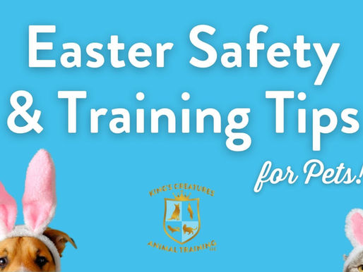 Easter Safety & Training Tips
