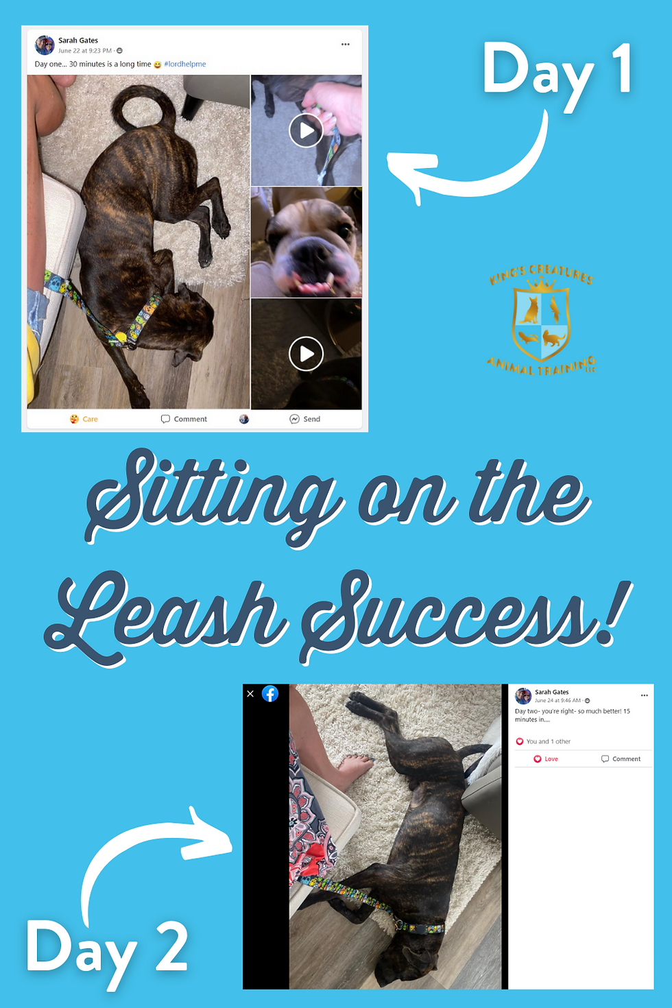 Screenshots of Facebook posts showing Sarah and Zamboni's improvements from Day 1 to Day 2, Sitting on the Leash, Relaxation Drill for Pets, Adventure Cat, Adventure Dog, Adventure Cat Training, Adventure Dog Training, Therapy Dog, Therapy Cat, Therapy Cat Training, Therapy Dog Training