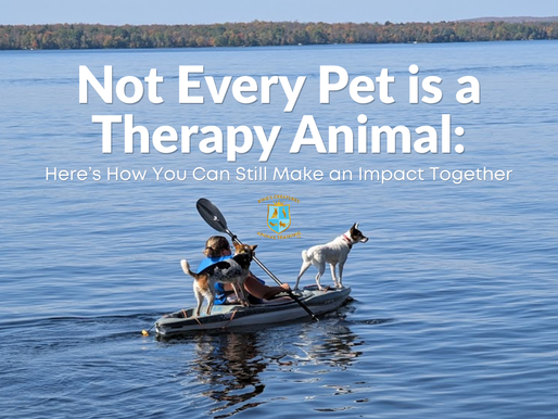 Person kayaking with two dogs demonstrating adventure pet training and calm teamwork, King's Creatures, Carmel Indiana