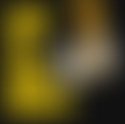 What is a logo worth?